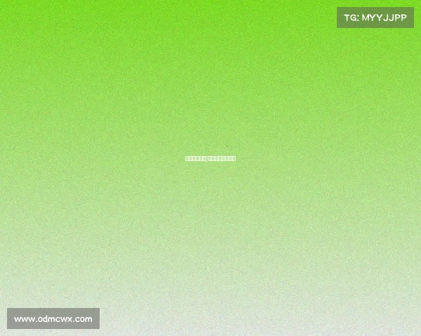 姚明赛事资料;姚明赛事资料大全